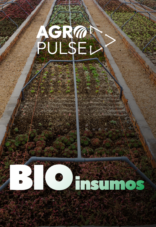 Bioinsumos