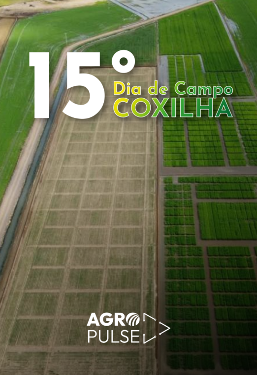 Dia de Campo na Coxilha apresenta tecnologias e soluções para o campo